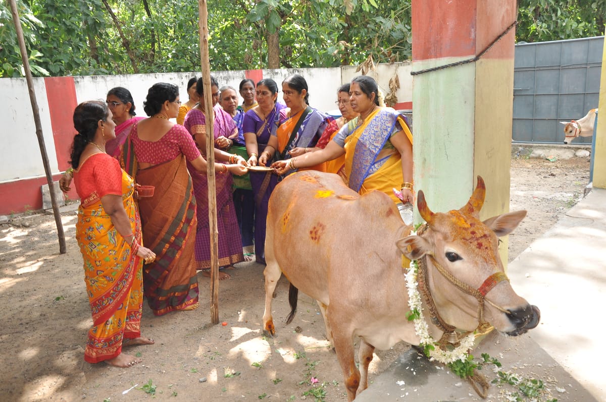 karthika samaradhana 2024 5