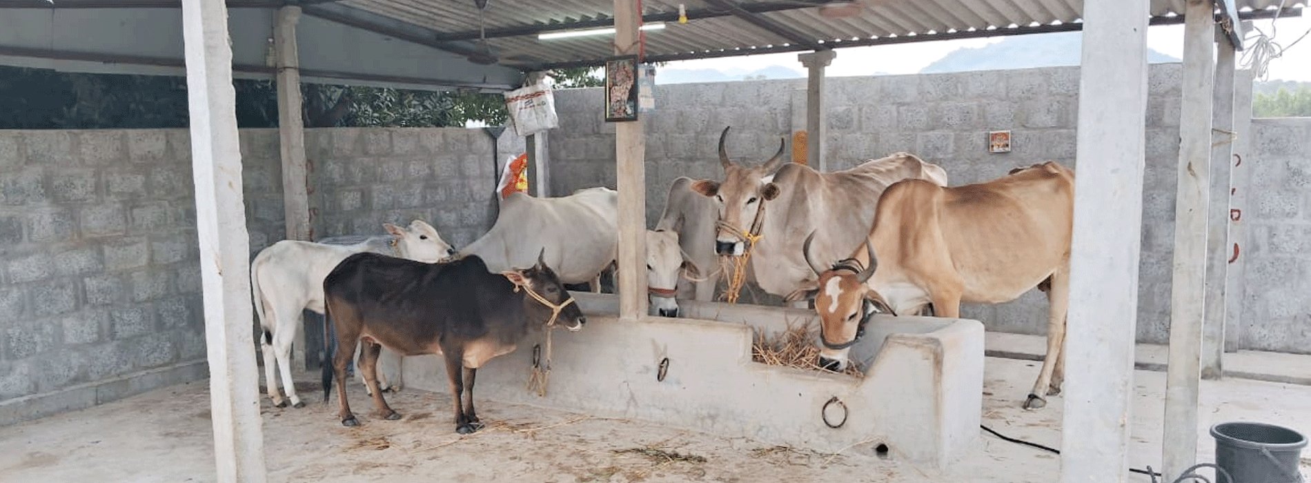 Brahmana Seva Samiti